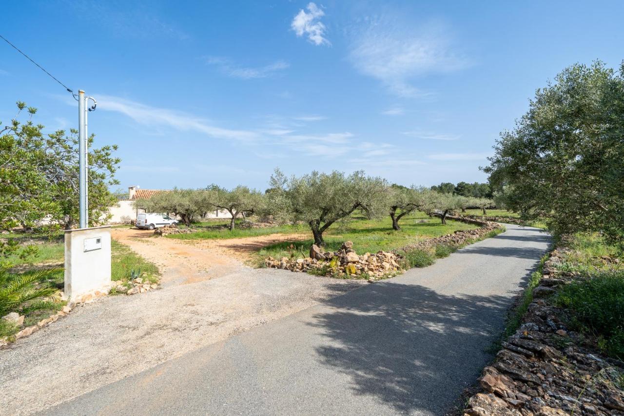 Casa En Olivera A 3 Km De La Costa El Perelló Esterno foto